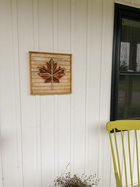 Maple Leaf (3 of 3)