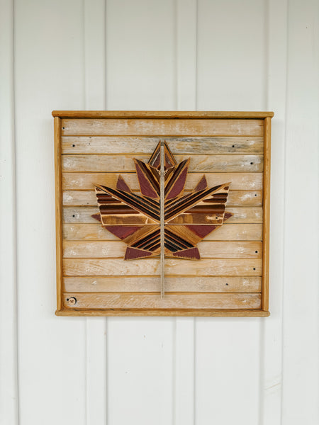 Maple Leaf (3 of 3)